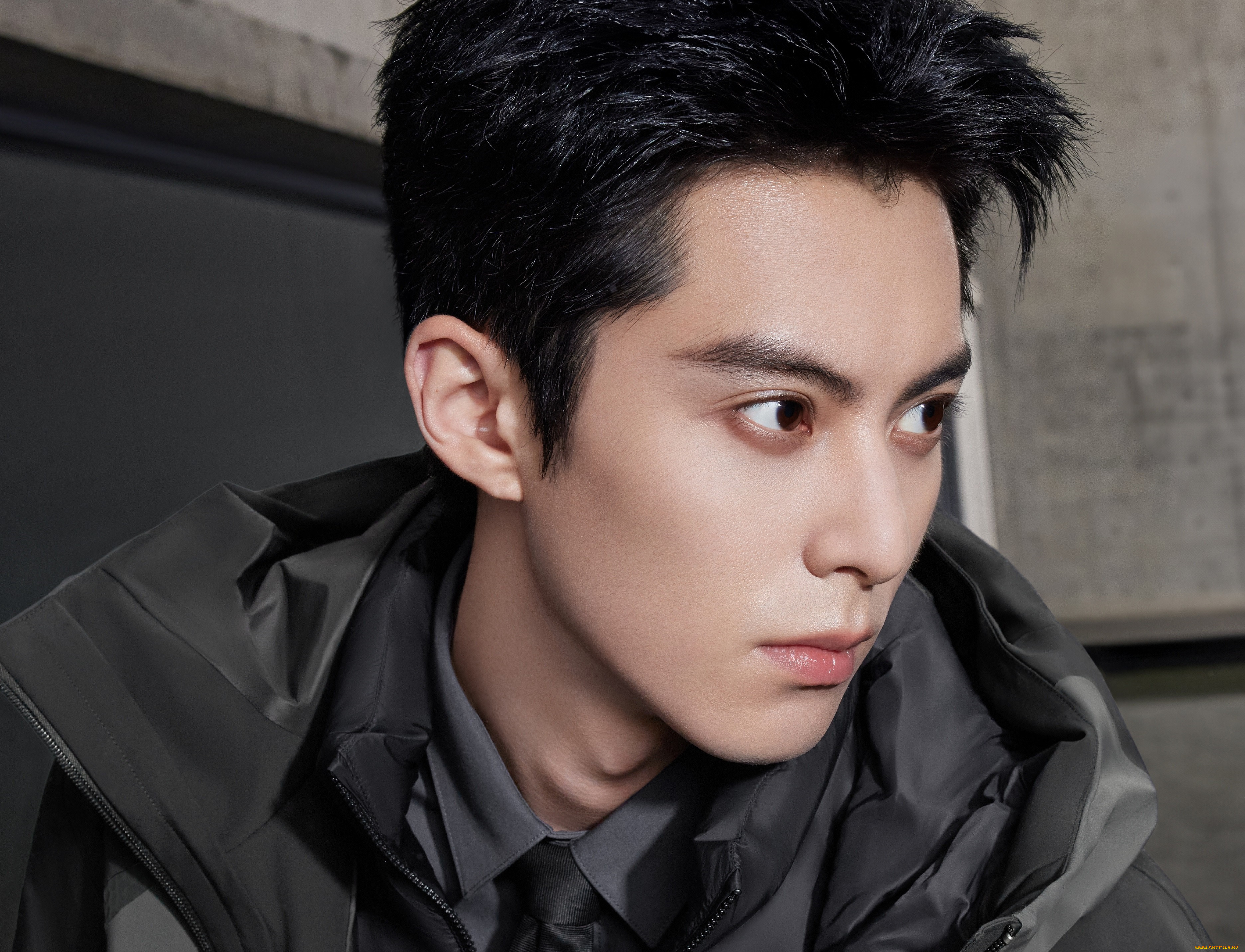 , wang hedi , dylan wang, , 